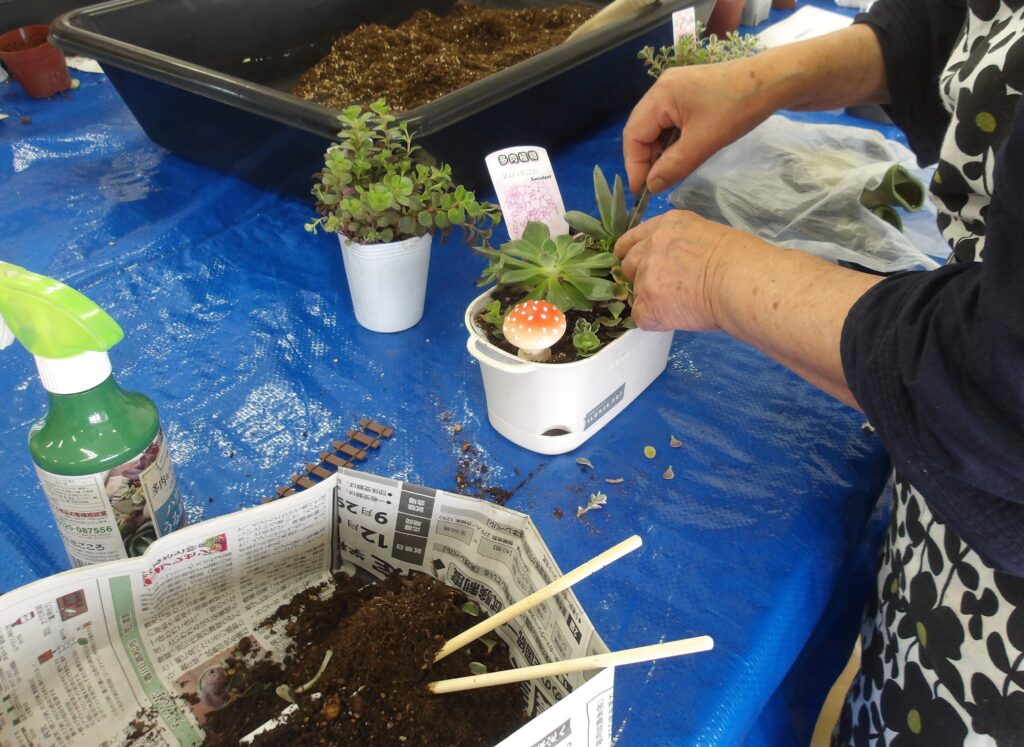 緑の講習会「多肉植物の寄せ 植え講座 暮らしに彩を」 - 八千代市地域
